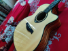 Acoustic Guitar
